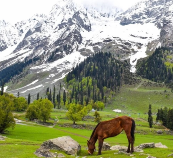 Jammu & Kashmir
